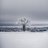 Snowing427