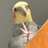 一帆风顺ケイキ
