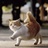 猫阿水