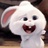 🐰