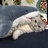 Ettore；
