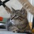 Rachel -