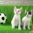 arsenalcat