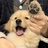 鵺小鹿