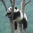 wang