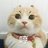 再也不搞限定团