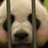 艿浆菌