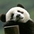 迎风醉袖