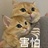阿棗