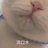 好好恰