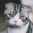 鸵猫