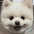 xilo
