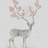 泡芙与小鹿