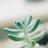 Hana·はな