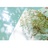 晨风不再