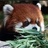 藏在豆瓣里的人