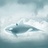 blue whale