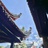 一期一会