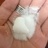 戴茱迪我爱你