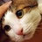 Daisy.z