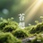 苔想