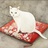 Sivona。