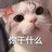辣辣又饿啦