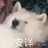 KINOOOOO！