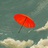 dancefly