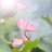 明月清風