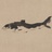 星海银沙