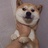 月照独行人