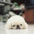 左炔诺氲酮YANG