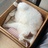 _soyo29