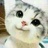 暖阳
