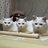 @53°自由