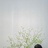 贰一