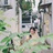 夏天到此时