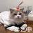 xxxsooo
