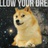 狗