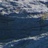 estuvieron