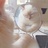 nieshine