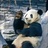 是潘达不是胖达