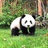 。势清