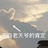 jo洒洒