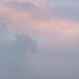 禾为