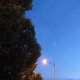 杨俊