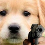 不见__