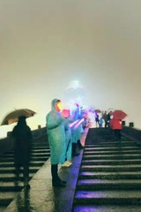 柏迪