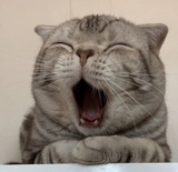 拾